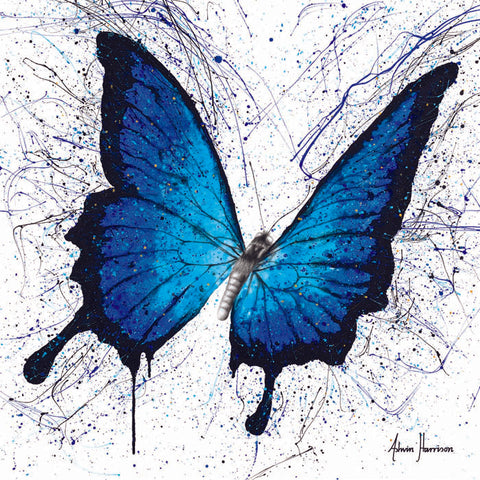 AHVIN429: Tropics of Blue Butterfly