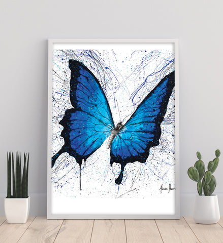 AHVIN429: Tropics of Blue Butterfly