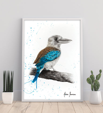 AHVIN436: One Clever Kookaburra