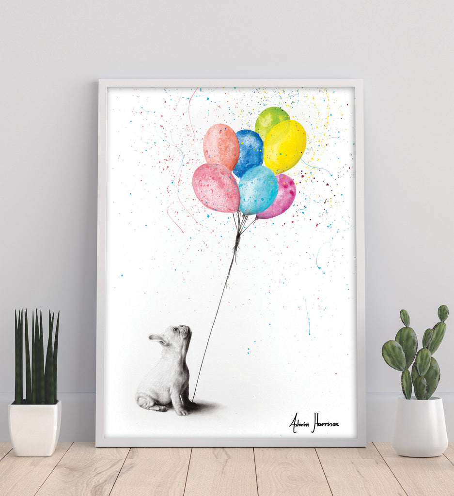 AHVIN437: The French Bulldog And The Balloons