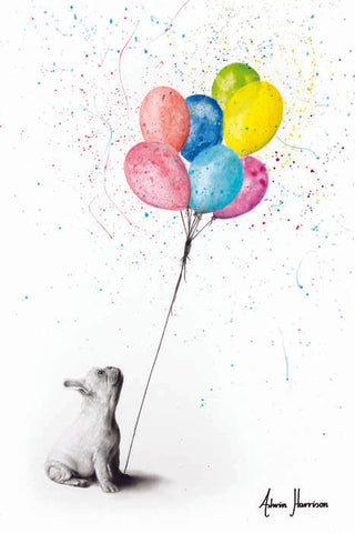 AHVIN437: The French Bulldog And The Balloons