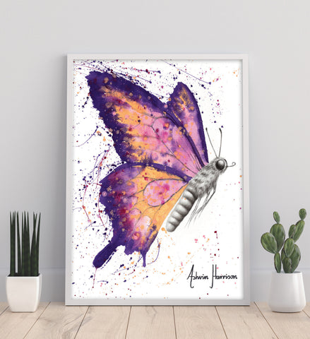 AHVIN467: Venus Sunset Butterfly