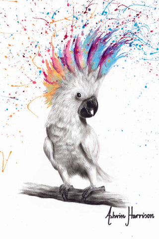 AHVIN480: Punk Cockatoo