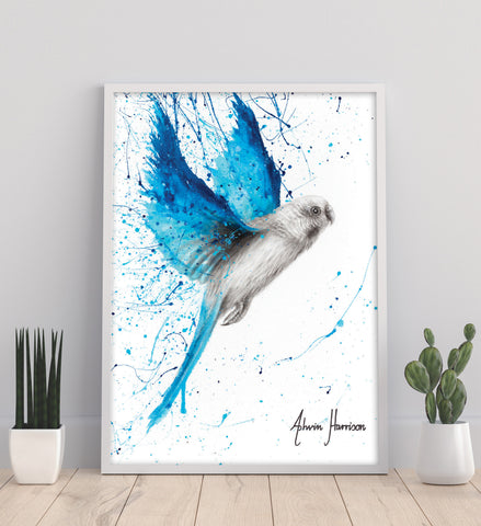 AHVIN483: Blue Lake Budgie