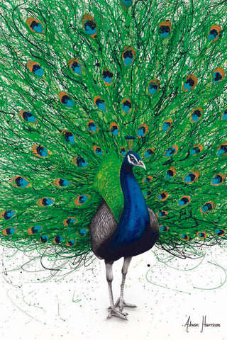 AHVIN492: Prancing Peacock