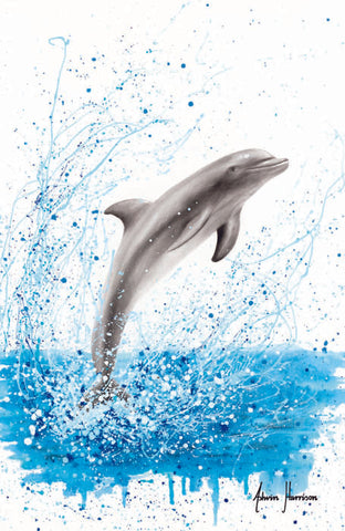 AHVIN499: Dancing Dolphin