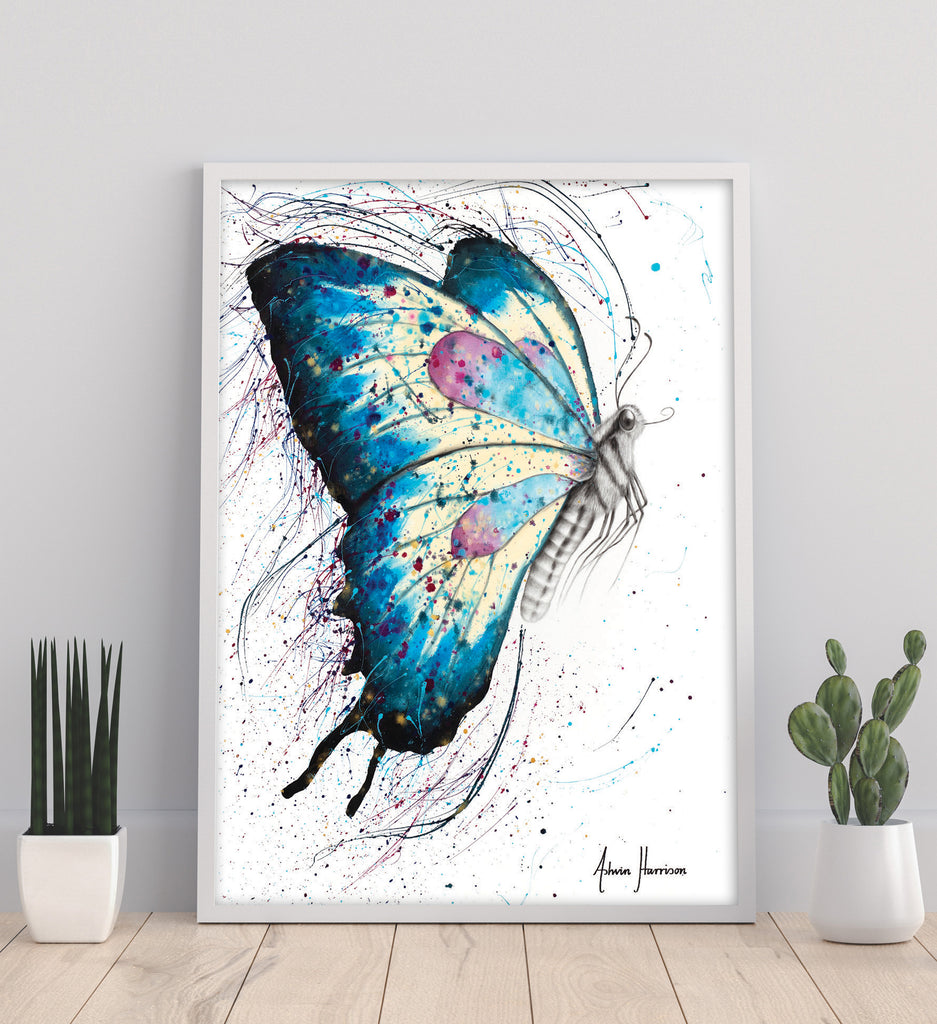 AHVIN501: Picnic Butterfly