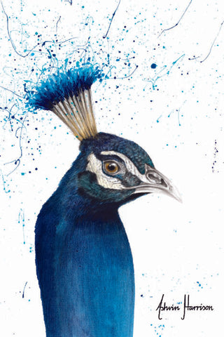 AHVIN509: Peacock Portrait