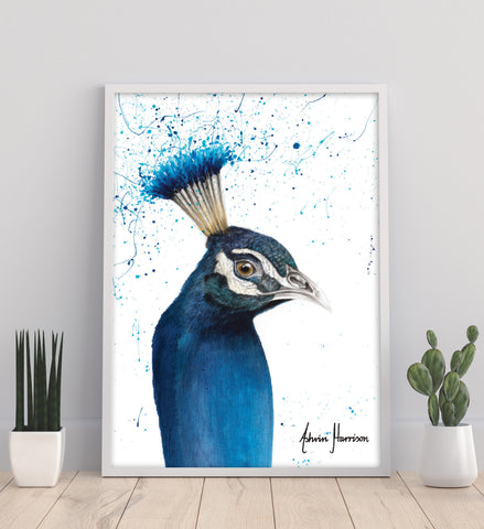 AHVIN509: Peacock Portrait