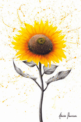 AHVIN582: Sunflower Celebration