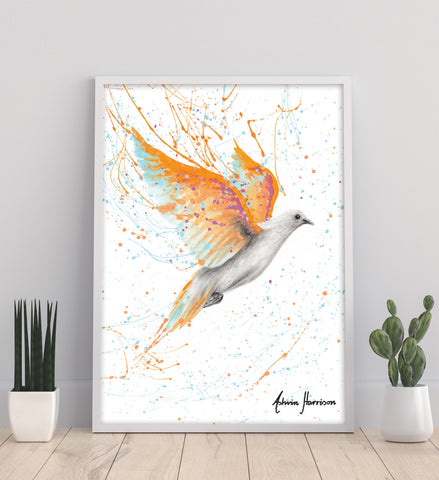 AHVIN606: Summer Peace Dove