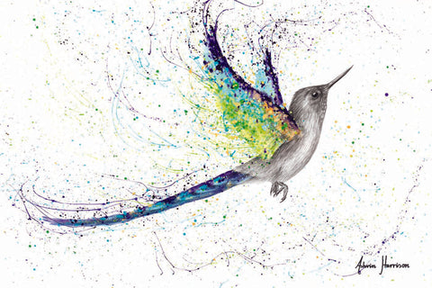 AHVIN608: Secret City Hummingbird