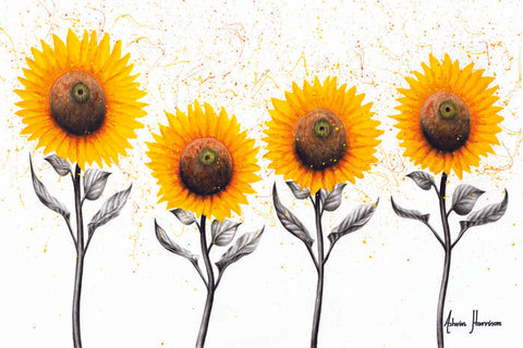 AHVIN612: Sunflower Family