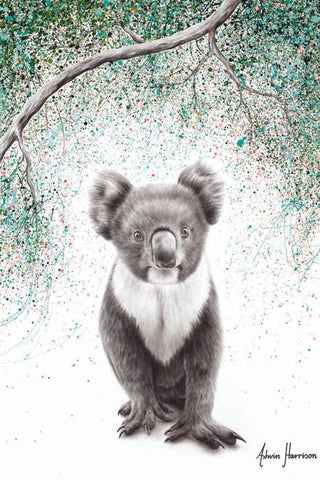 AHVIN633: Koala Pride