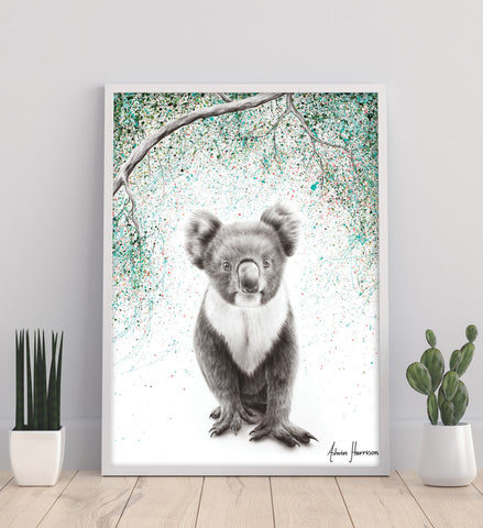 AHVIN633: Koala Pride