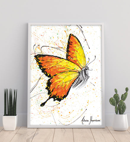 AHVIN649: Warm Summer Butterfly