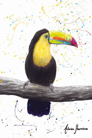 AHVIN694: Talented Toucan