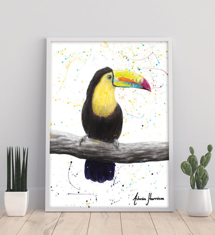 AHVIN694: Talented Toucan