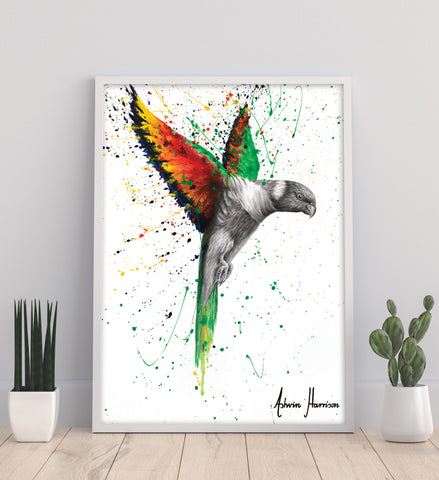 AHVIN709: Lorikeet Larrikin