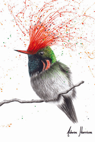 AHVIN720: Rufous Crested Coquette