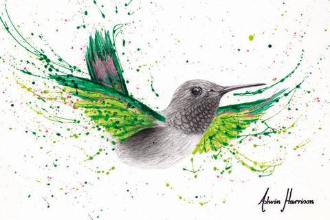 AHVIN740: River City Hummingbird