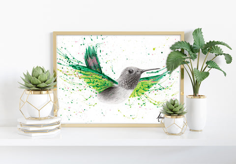 AHVIN740: River City Hummingbird