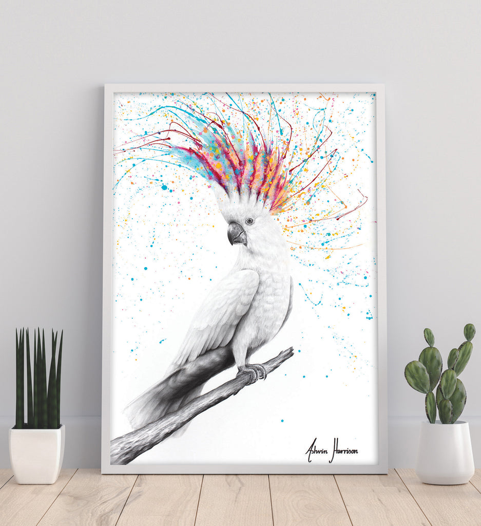 AHVIN803: Cool Cockatoo