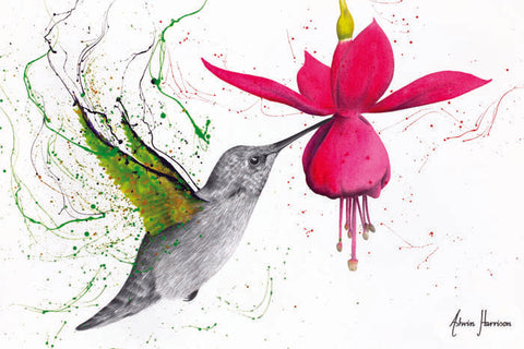 AHVIN897: Spring Garden Hummingbird