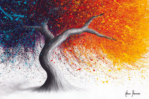 AHVIN901: Fire and Passion Tree